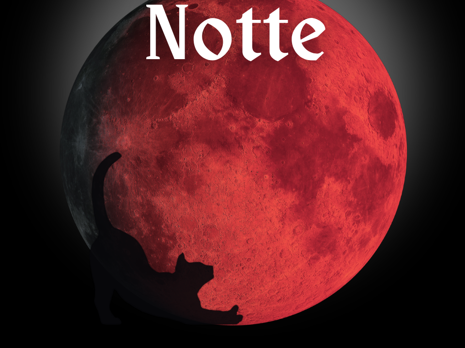 urban fantasy ebook in adozione